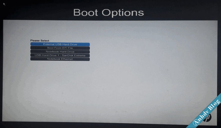 Boot Options HP