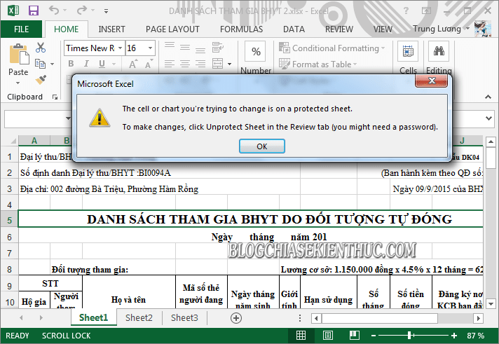 cach-pha-password-protect-sheet-excel (1)